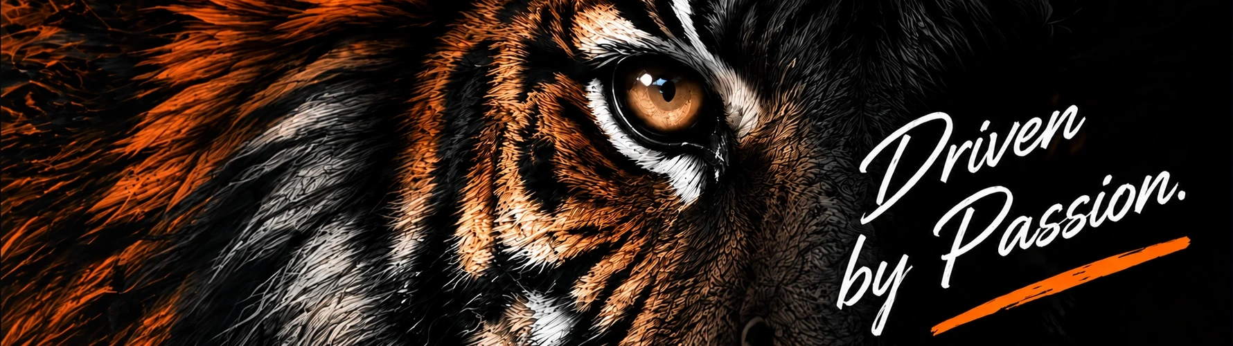 Tiger Mods artwork